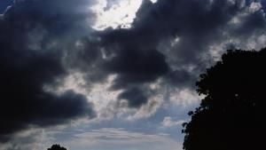 Life On The Equator photo