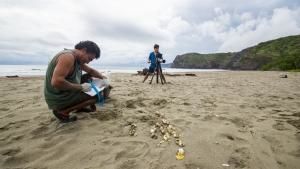 Jaguar Beach Battle photo
