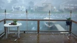 علم البسطاء صورة