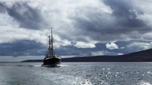 Ultimate Battleships photo