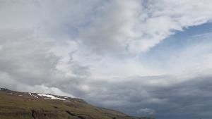 Wild Arctic photo