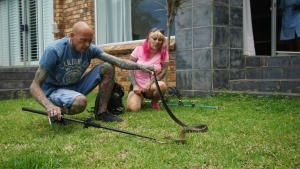 Snakes in the City photo
