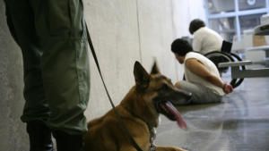 وراء القضبان صورة