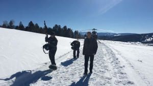 Yellowstone Wolves photo