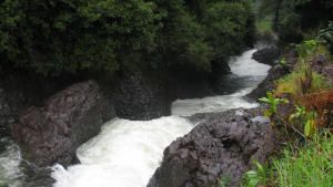 كوكبنا المدهش صورة