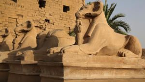 كنوز مصر المفقودة صورة