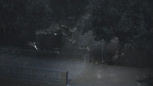 California Mudslide photo