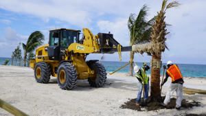 Building Paradise Island photo