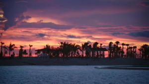 Building Paradise Island photo