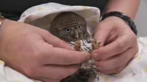 Saving Wild Alaska photo