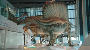 Kuwait Museum photo