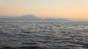 Unsinkable: Japan's Lost Battleship photo
