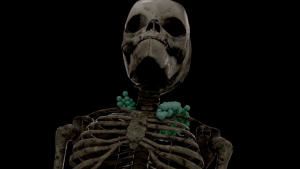Story of Egypt's Mummies photo