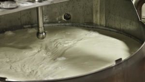 Food Factory photo