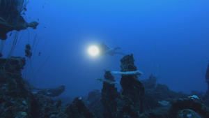 Drain The Atomic Ghost Fleet photo