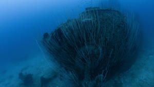 Drain The Atomic Ghost Fleet photo