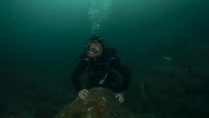 Shark Beach with Chris Hemsworth photo