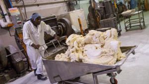 Food Factory - Season 3 photo