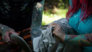 Snakes in the City - Season 7 photo