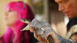 Cobra Wedding Crashers photo