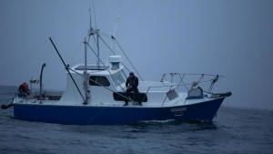 Life Below Zero: Port Protection Alaska photo