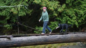 Life Below Zero: Port Protection Alaska photo