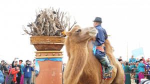 العودة إلى الجذور صورة