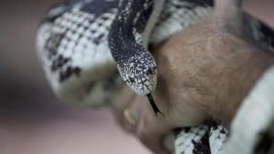 أسرار حديقة الحيوان - كارولاينا الشمالية صورة