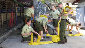 Magic of Disney's Animal Kingdom photo