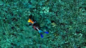 Red Sea Explored - Episode 2 photo