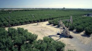 Parched: Toxic Waters photo