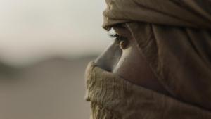 Lost Treasures of Arabia: Ancient City of Dadan photo