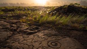Hawaii Volcanoes photo