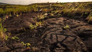 Hawaii Volcanoes photo