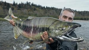 Last of The Giants: Wild Fish photo