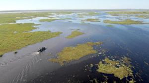 Last of The Giants: Wild Fish photo