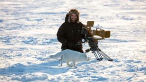 Incredible Animal Journeys photo