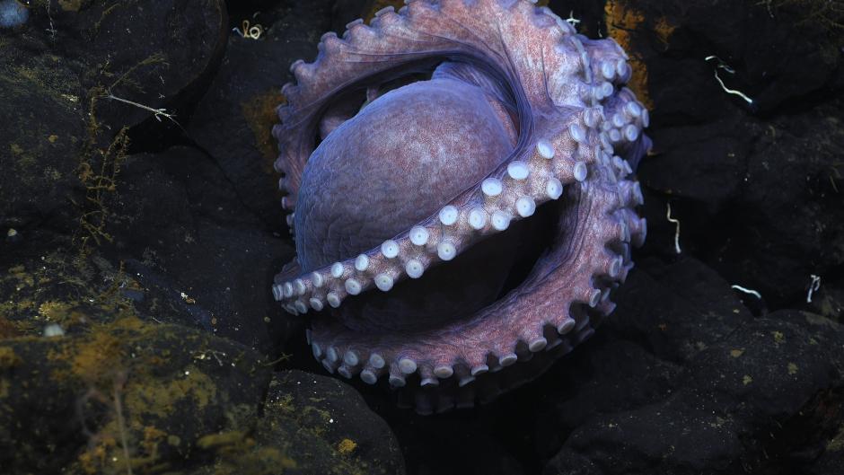 15128