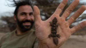 Primal Survivor: Extreme African Safari photo