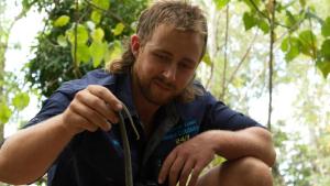 Aussie Snake Wranglers photo