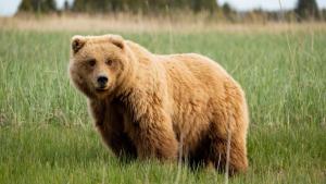 National Parks: USA photo
