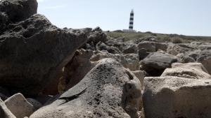 Wild Mediterranean photo