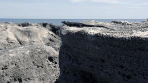 Untamed Coasts photo