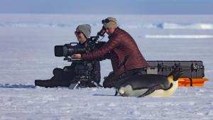 Secrets of the Penguin photo