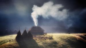 Transylvania's Wild Side photo