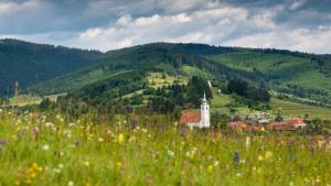 Transylvania's Wild Side photo