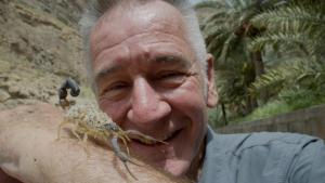 Wild Arabia photo