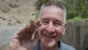 Wild Arabia photo