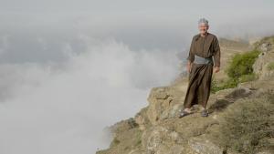 Wild Arabia photo