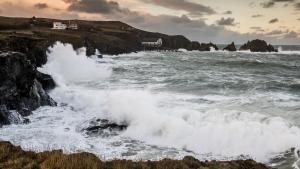 Ocean with David Attenborough gallery photo